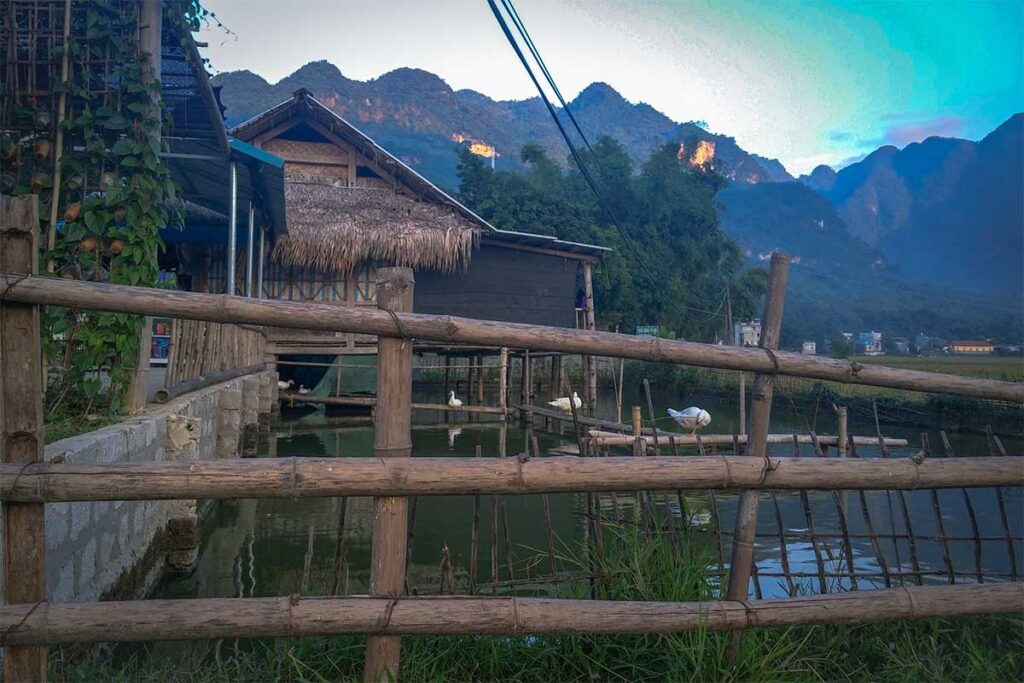 Stilt houses around a small duck farm in Lac Village