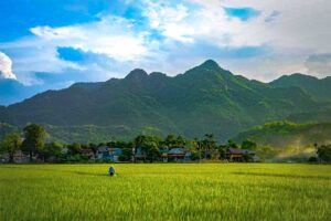 Rice fields of Mau Chau with in the background Lac Village