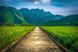 A very long Mai Chau trekking road through countryside with on both side green rice fields