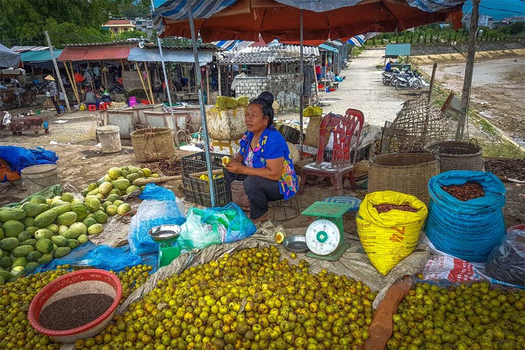 Woman selling fruit at the local market at Muong Thanh Bridge