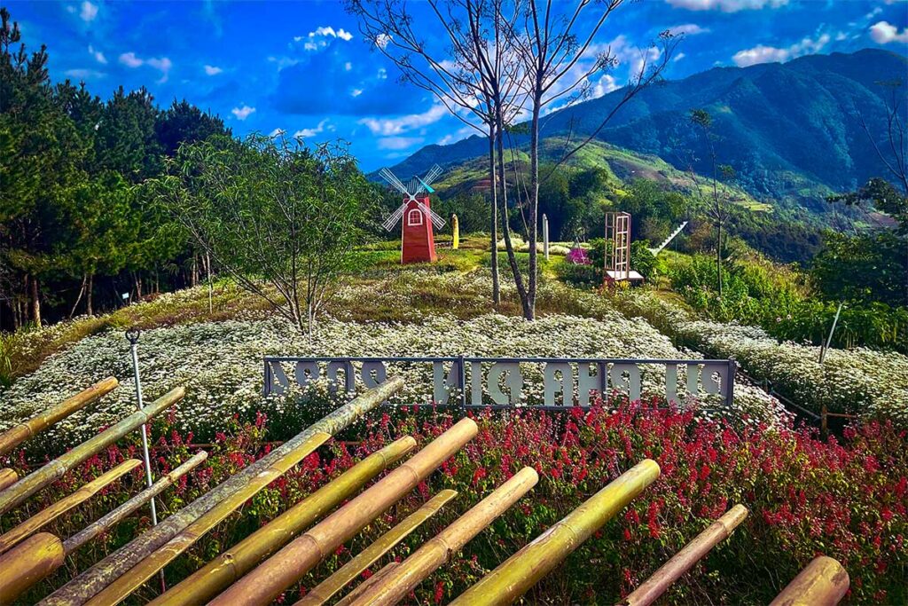 A kitschy photo " check-in" area on the Pha Din Pass attracting domestic tourists for photos