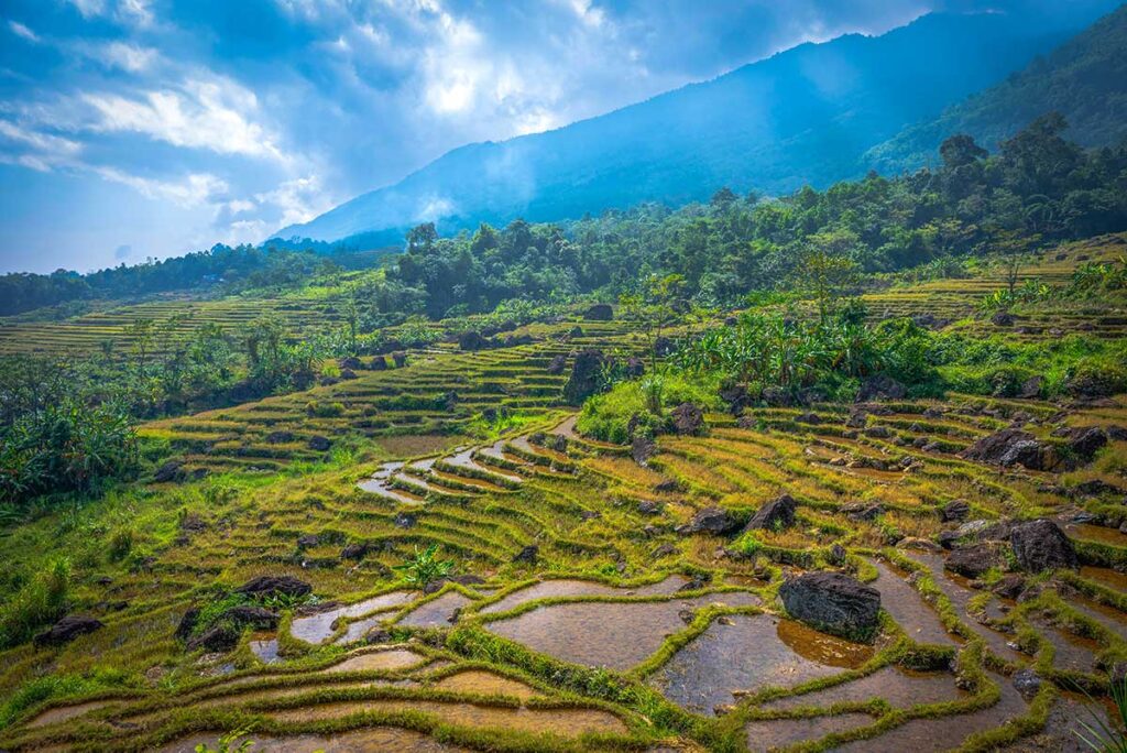 Rice fields of Pu Luong in December are empty