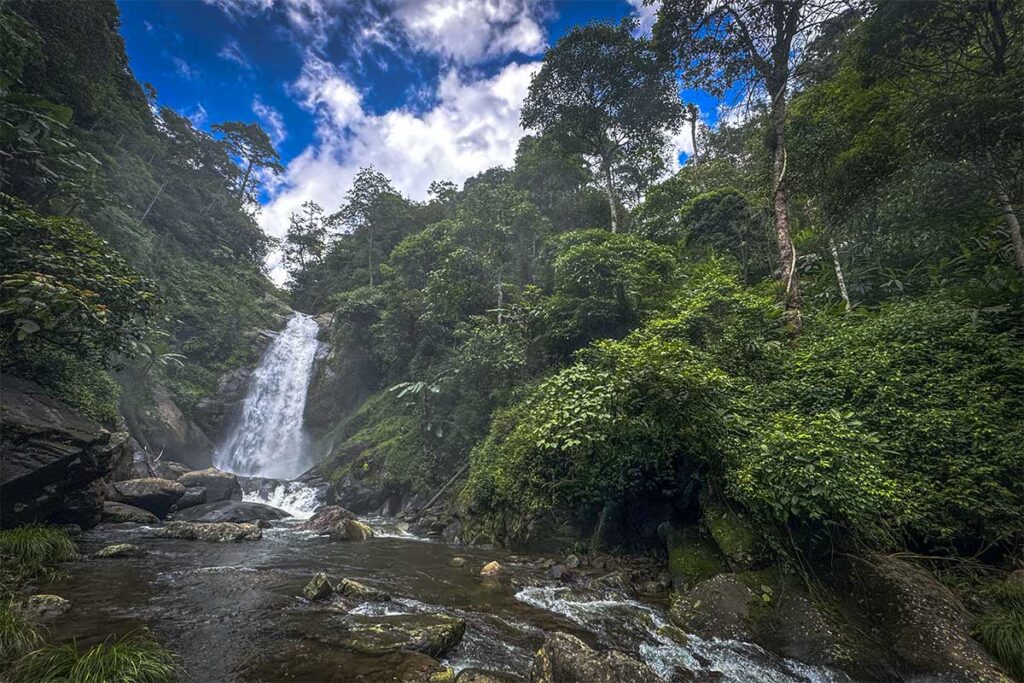 Dense jungle and a waterfall with stream running through the forest of Ta Xua Nature Reserve