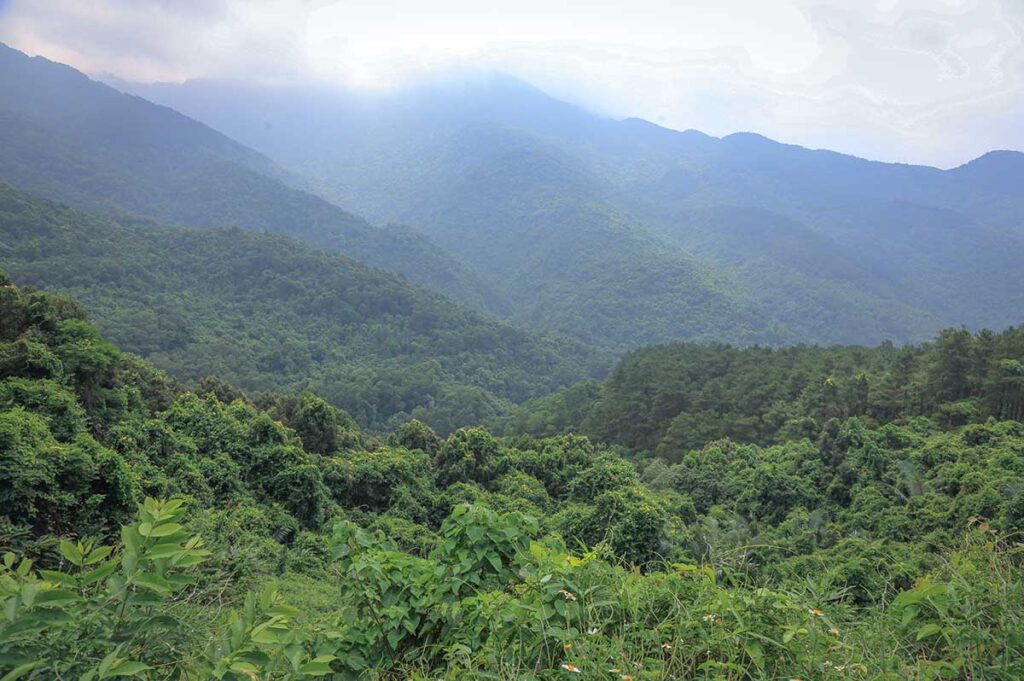 View over the forest of Tam Dao National Park