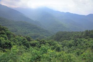 View over the forest of Tam Dao National Park