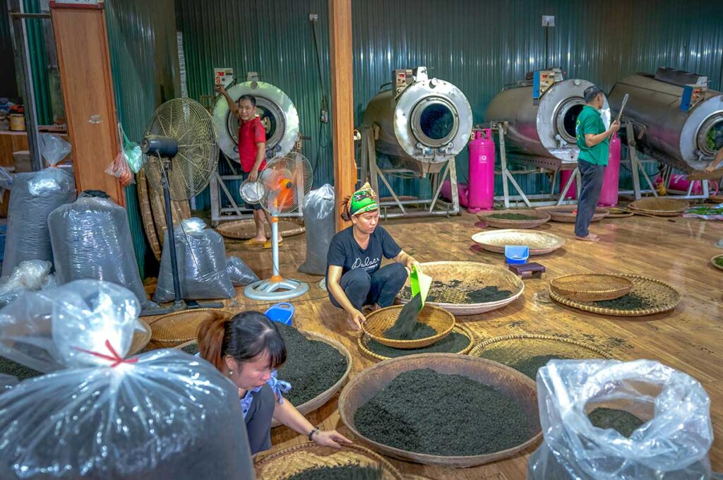 Inside a small factore with local workers busy processing tea leaves at Tan Cuong Tea Hills in Thay Nguyen