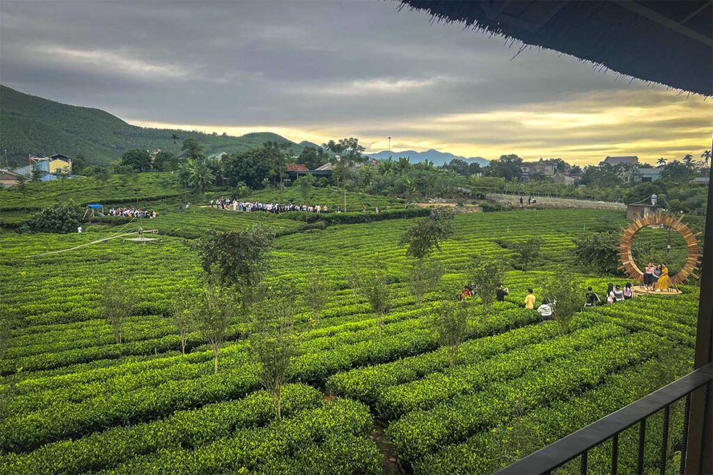 View from a coffee shop over the Tan Cuong Tea Hills