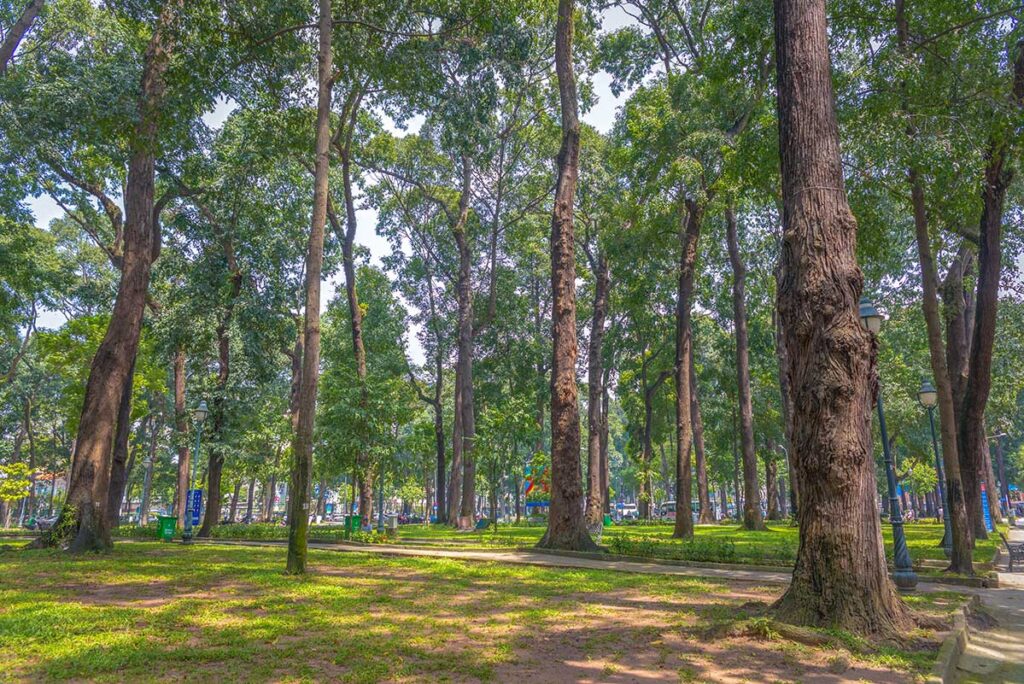 Lots of trees inside Thong Nhat Park