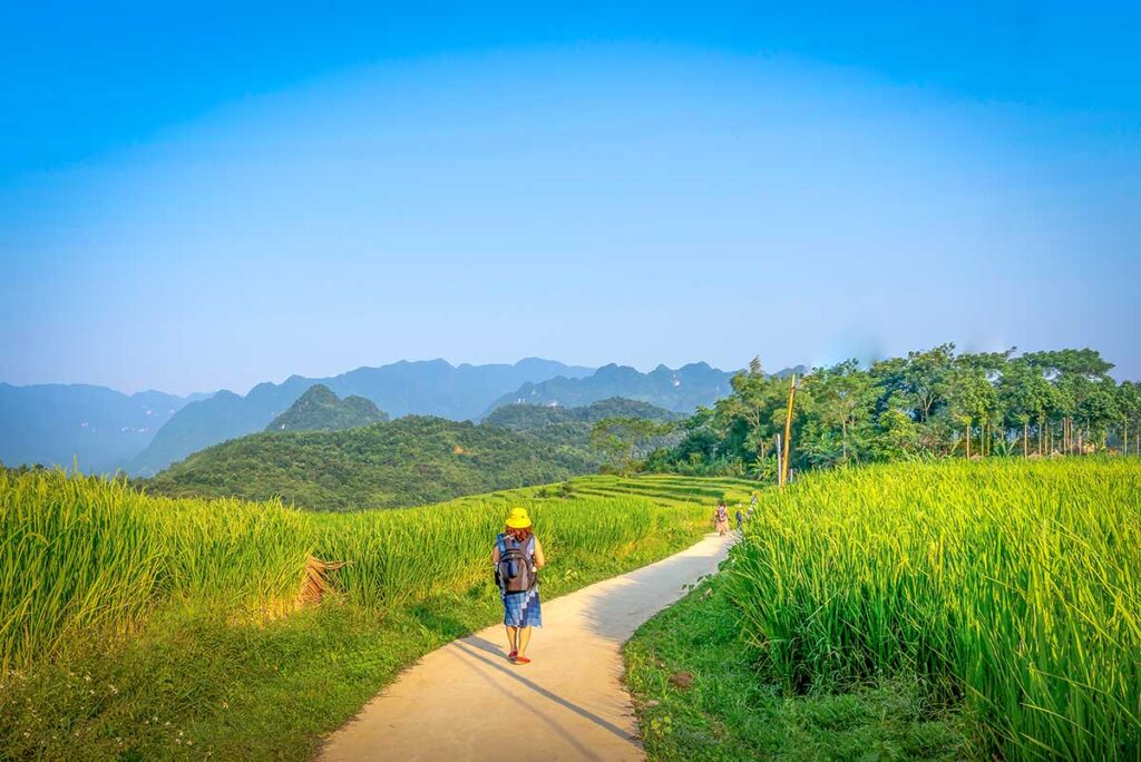 People walking on a concrete roads while doing a trekking in Pu Luong with terraced rice fields on both sides