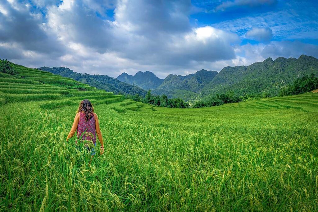 Woman doing a trekking in Pu Luong and walking along the terraced rice fields