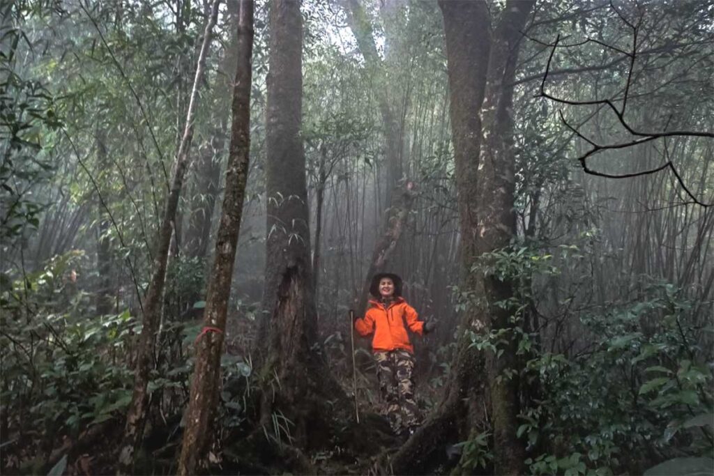 A woman in red jacket standing in a cold misty forest during a trekking in Tam Dao National Park
