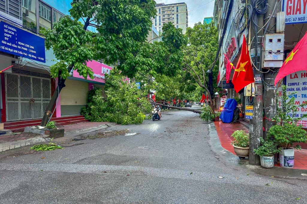 A tree broke down in the street during a typhoon in Vietnam