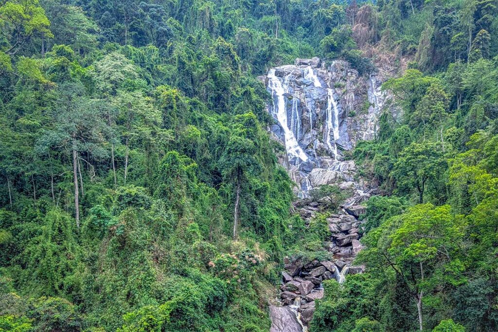 A waterfall and stream hidden between the trees of Tam Dao National Park
