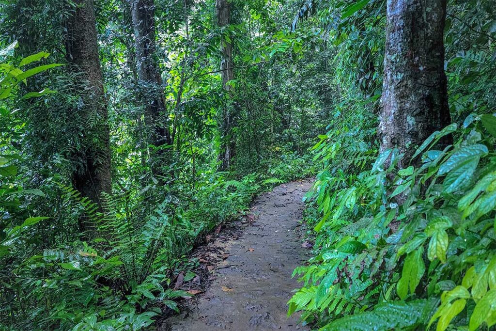 Hiking trail through Xuan Son National Park