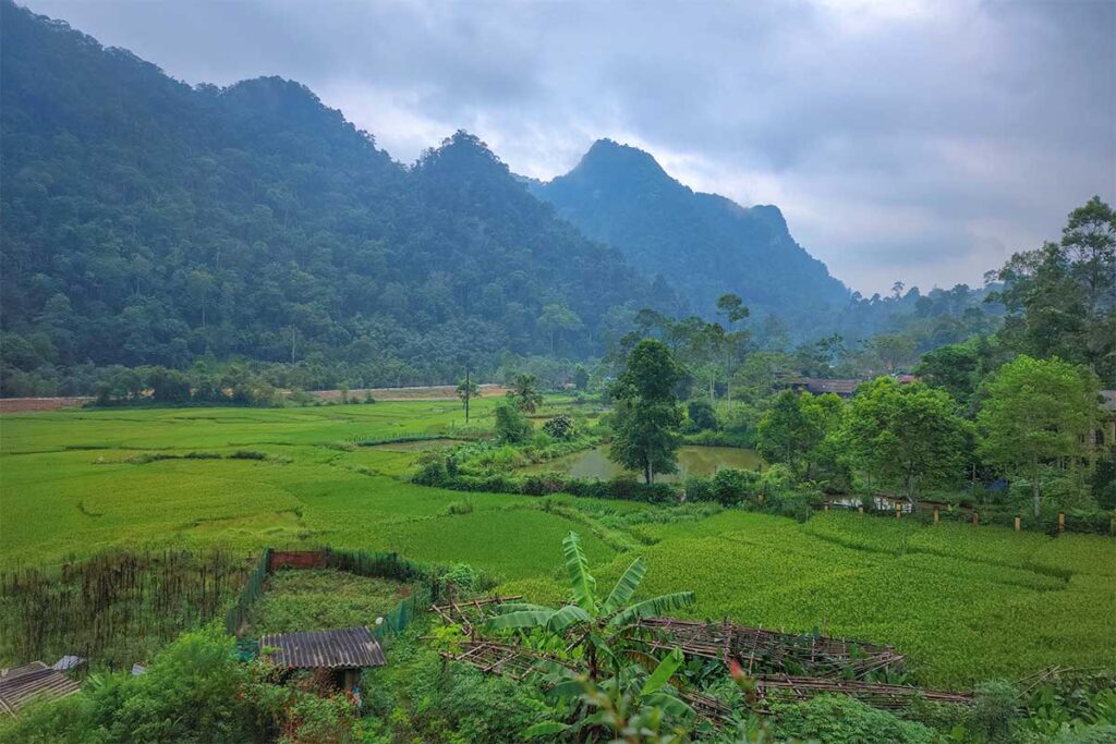Countryside landscape with mountain and forest of the background part of Xuan Son National Park