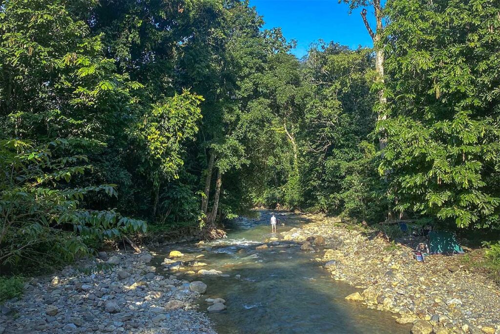 A stream running through the forest of Xuan Son National Park