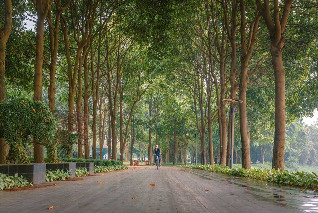 An empty paved road inside Yen So Park Hanoi