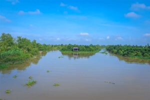 The rivers and canals of An Binh Island seen from a bridge