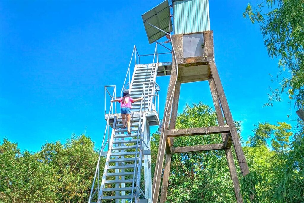 A girl climbing the stairs to the top of the observation tower inside Bac Lieu Bird Sanctuary