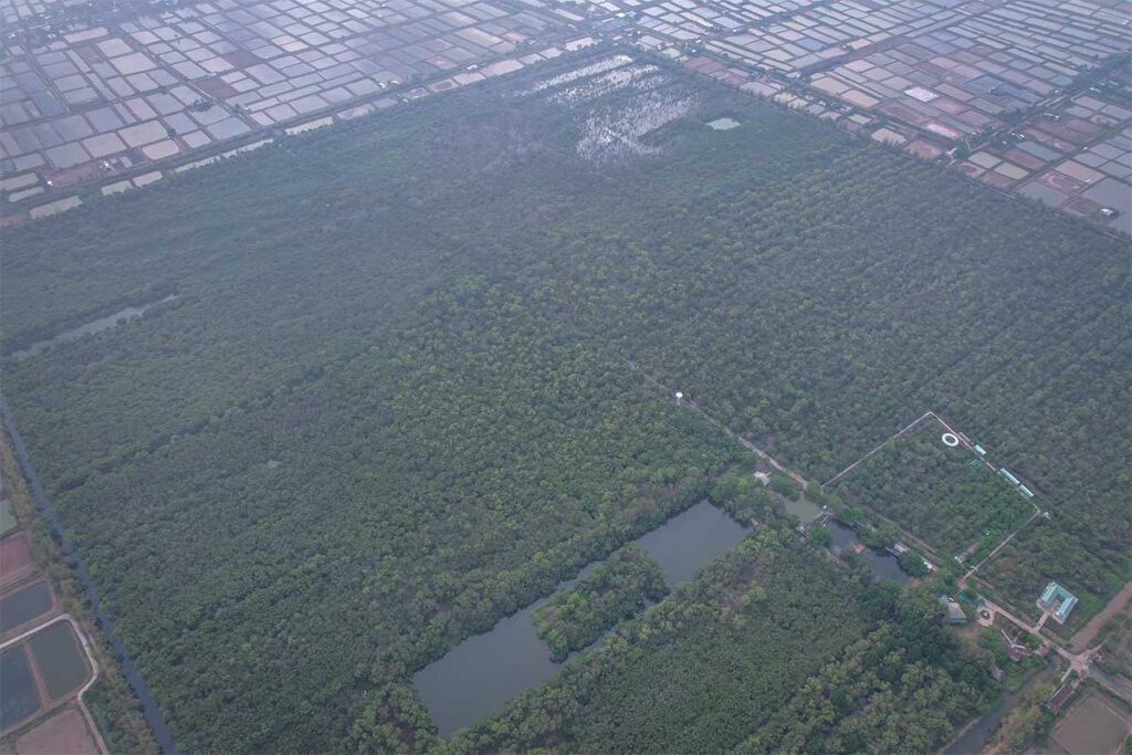 Aerial view of the square shaped Bac Lieu Bird Sanctuary