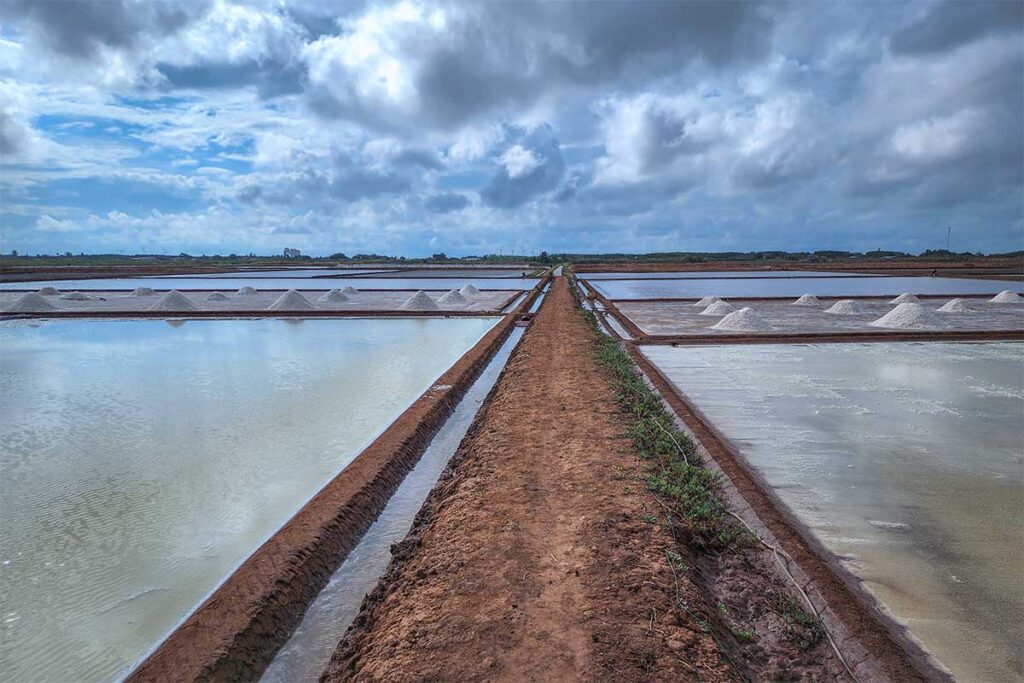 A dirt road that goes between the salt fields with a few piles of salt on a dry patch of land at Bac Lieu