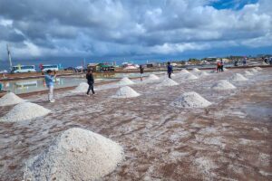 Tourists walking through piles of salt at the Bac Lieu Salt Fields