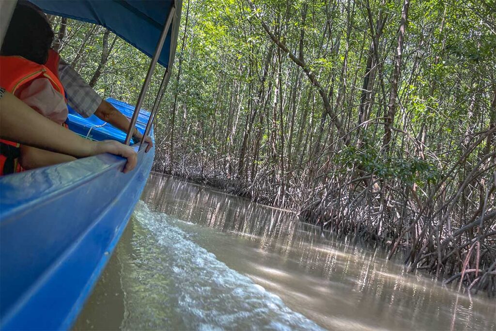A tourist boat tour through the mangrove of Cape Ca Mau National Park