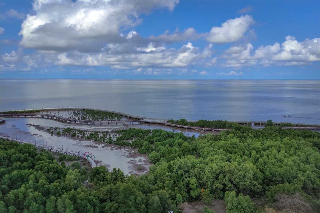 Aerial view of the southernmost point of Vietnam called Cape Ca Mau
