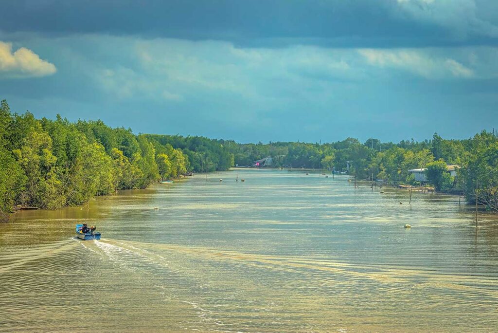 A river that runs through Cape Ca Mau National Park with local fishing boat