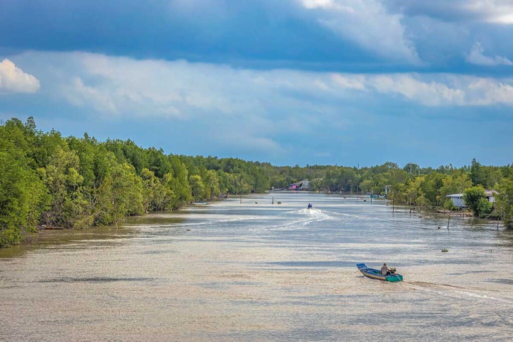 A small wooden boat goes over a river inside Cape Ca Mau National Park