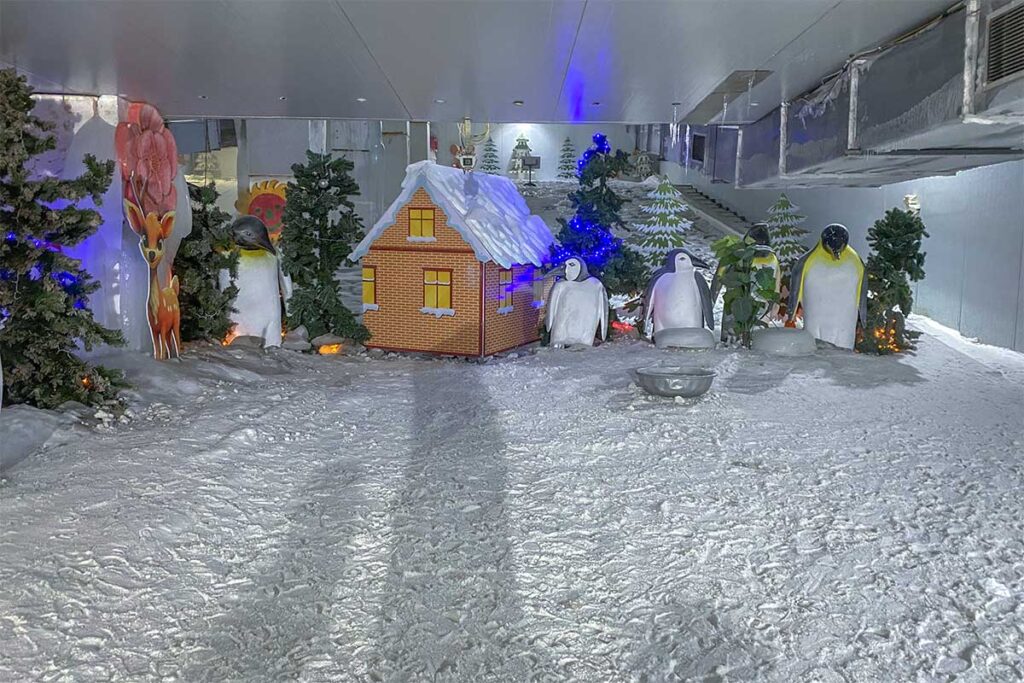 Inside Snow World within Dai Nam Park