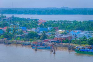 Close-up aerial of Dragon Island (Tân Long) showing coconut trees, houses, and fishing boats