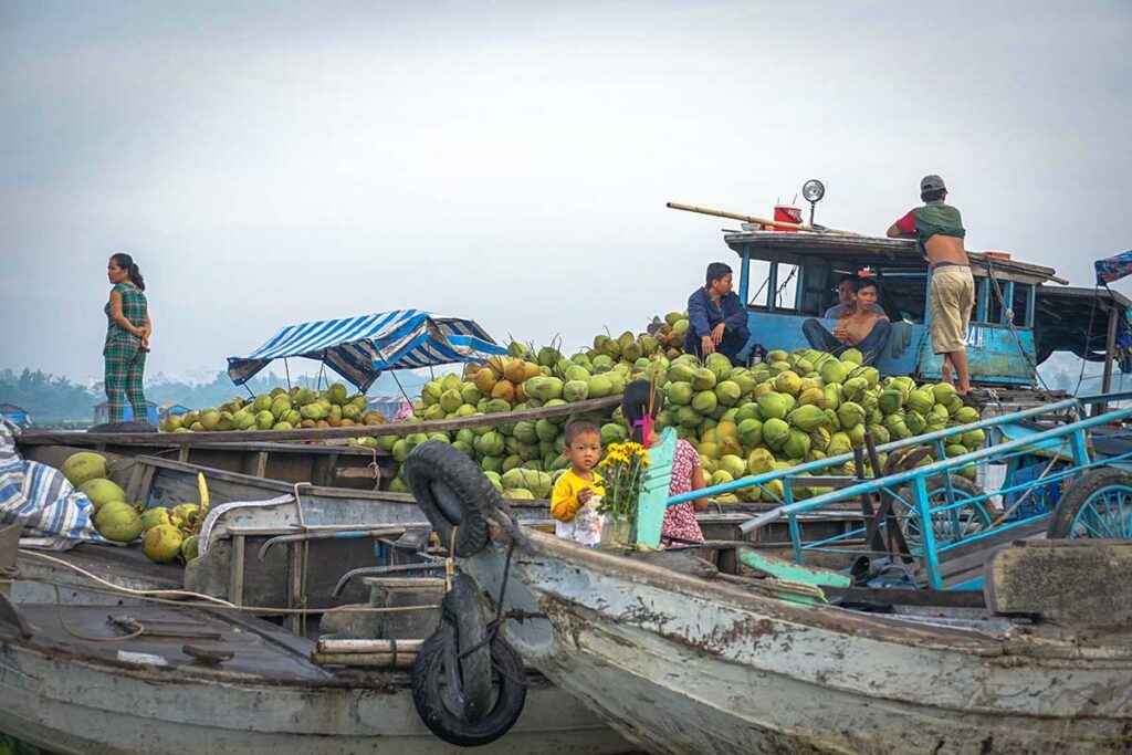 Local traders with boats full of fresh coconuts at Long Xuyen Floating Market, Mekong Delta