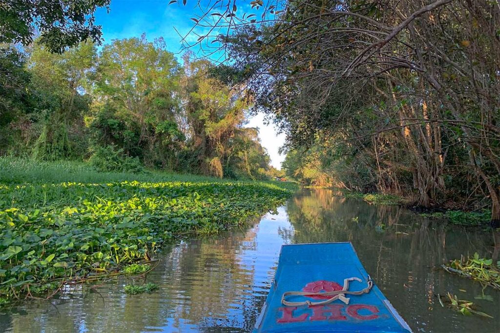 Boat navigating a narrow canal with herons among floating water lettuce in Lung Ngoc Hoang wetlands.