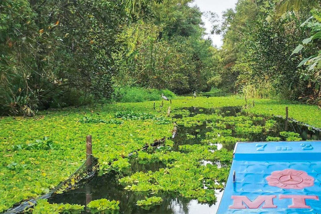 Small boat cruising along a tree-lined canal in Lung Ngoc Hoang Nature Reserve.