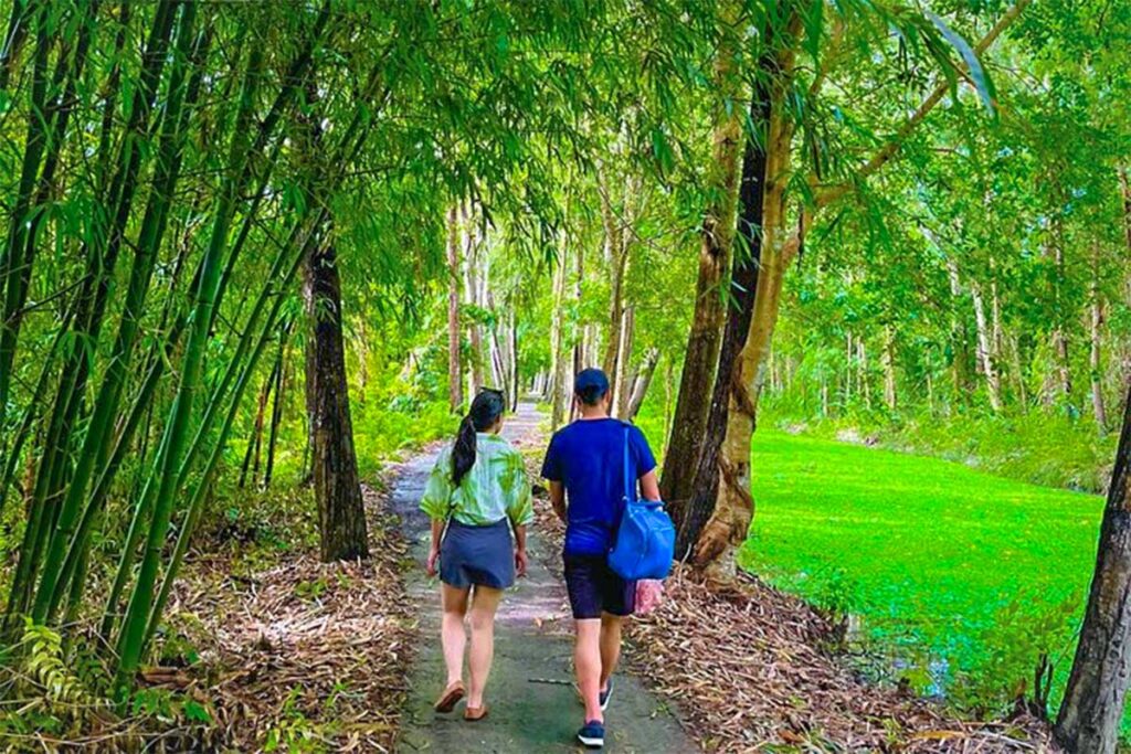 Two visitors walking under bamboo and melaleuca trees along a nature trail in Lung Ngoc Hoang.