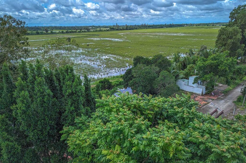 Scenic view of Hau Giang rice fields and surrounding countryside as seen from the observation tower at Lung Ngoc Hoang Nature Reserve.