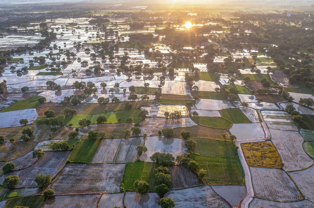 Ta Pa rice fields during watering season seen from the air