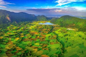 Aerial view over the rice fields of Ta Pa in An Giang - The Mekong Delta