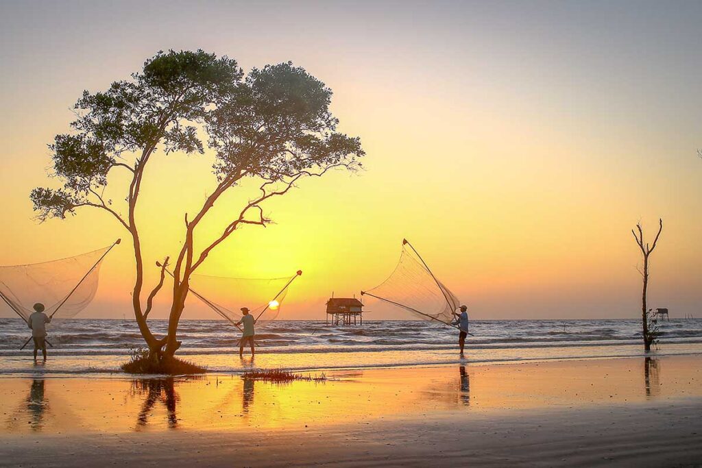 Silhouette of fishermen casting nets beside a tree at sunset on Tan Thanh Beach Tien Giang, Vietnam.