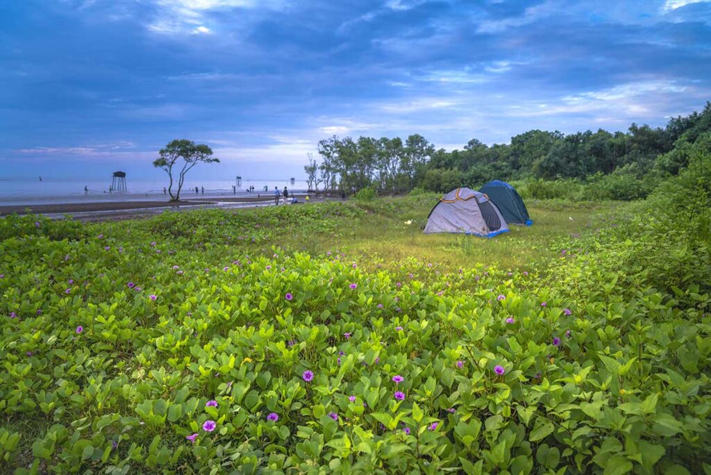 Tents pitched on the grassy edge of Tan Thanh Beach Tien Giang with views of the sea and stilt huts.
