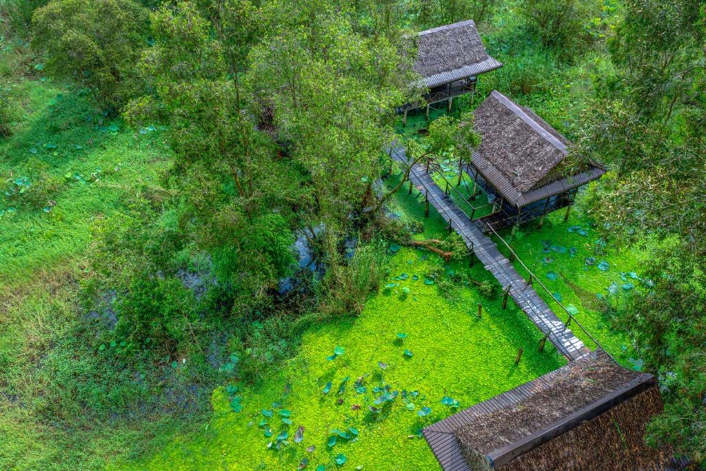 Thatched huts connected by wooden walkways above the flooded wetlands of Tra Su Cajuput Forest, Vietnam.