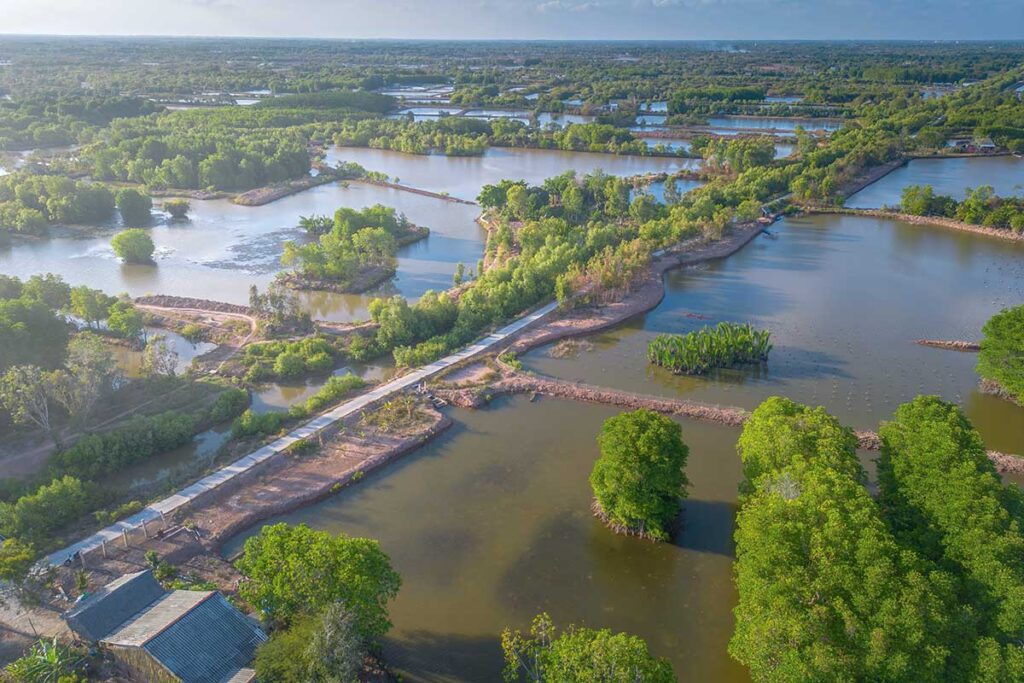 Drone shot showing a scenic maze of aquaculture ponds and mangrove-covered canals in Tra Vinh, Mekong Delta, Vietnam.
