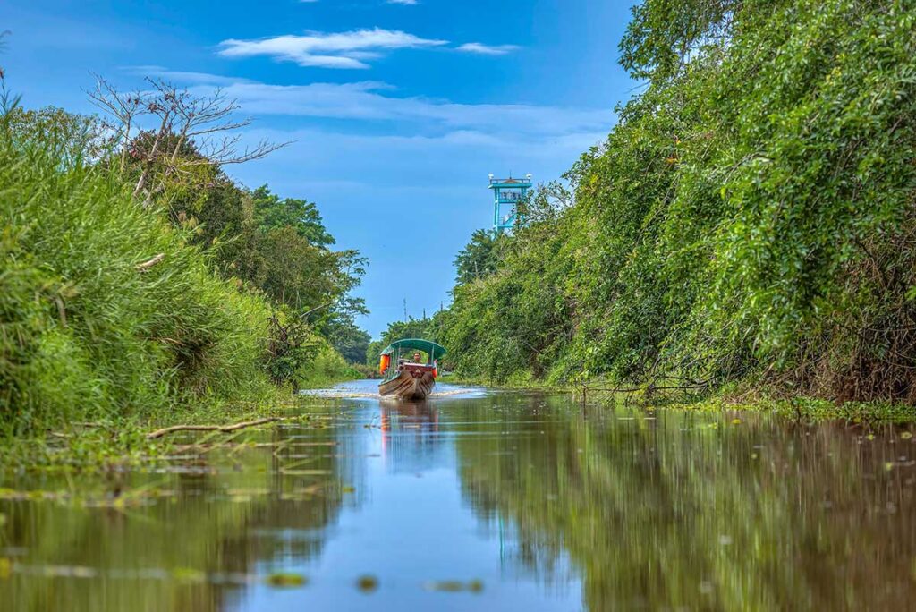 A boat tour through U Minh Ha National Park