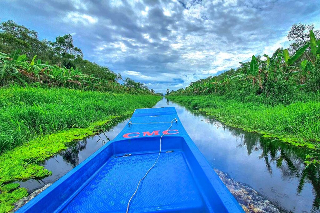 A boat going through the waterways of U Minh Ha forest in the Mekong Delta