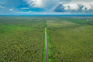 Aerial view of U Minh Ha National Park