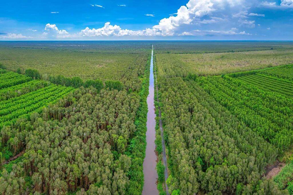 Aerial view of U Minh Ha National Park