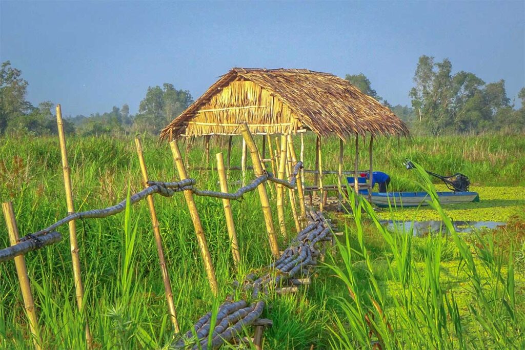 Thatched shelter and small motorboat along the waterways of U Minh Thuong National Park in the Mekong Delta.