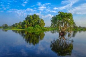 U Minh Thuong National Park in Kien Giang Province
