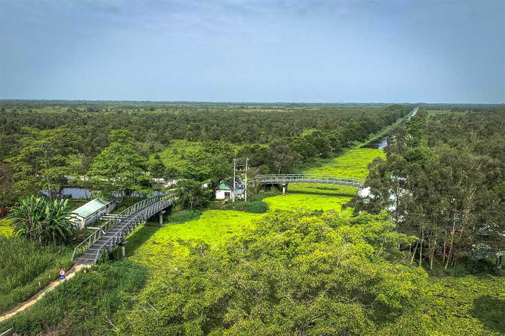 Aerial view of canals and boardwalks cutting through the swamp forest at U Minh Thuong National Park in Kien Giang.